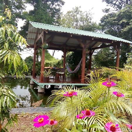 Greenhouse Loft Miravalles Aguas Claras  Екстер'єр фото