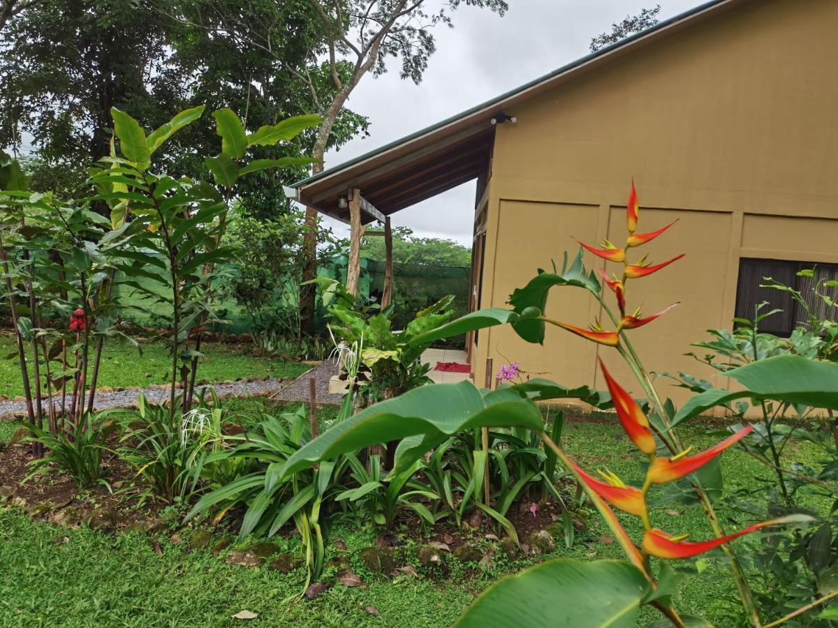 Greenhouse Loft Miravalles Aguas Claras  Екстер'єр фото