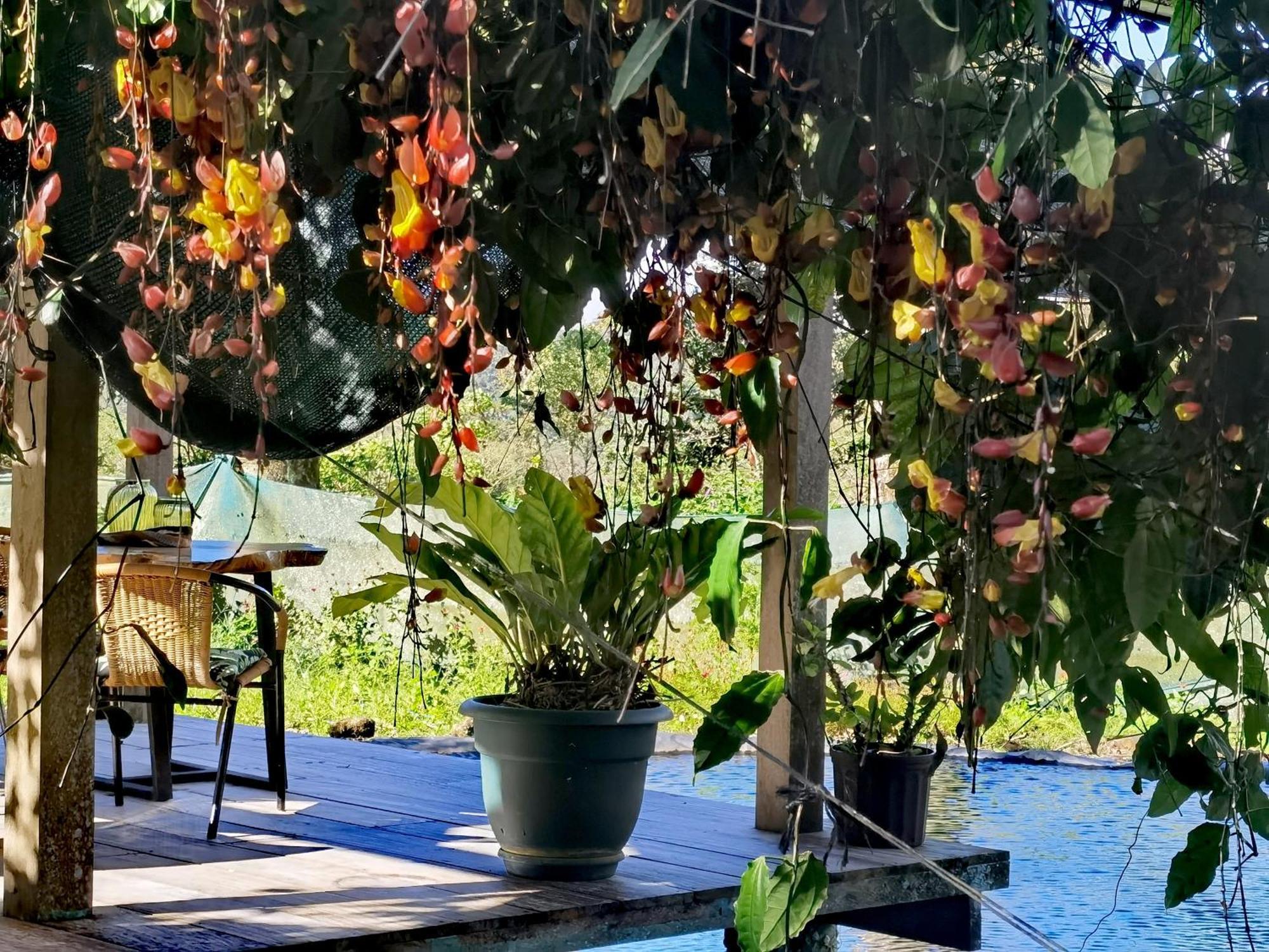 Greenhouse Loft Miravalles Aguas Claras  Екстер'єр фото